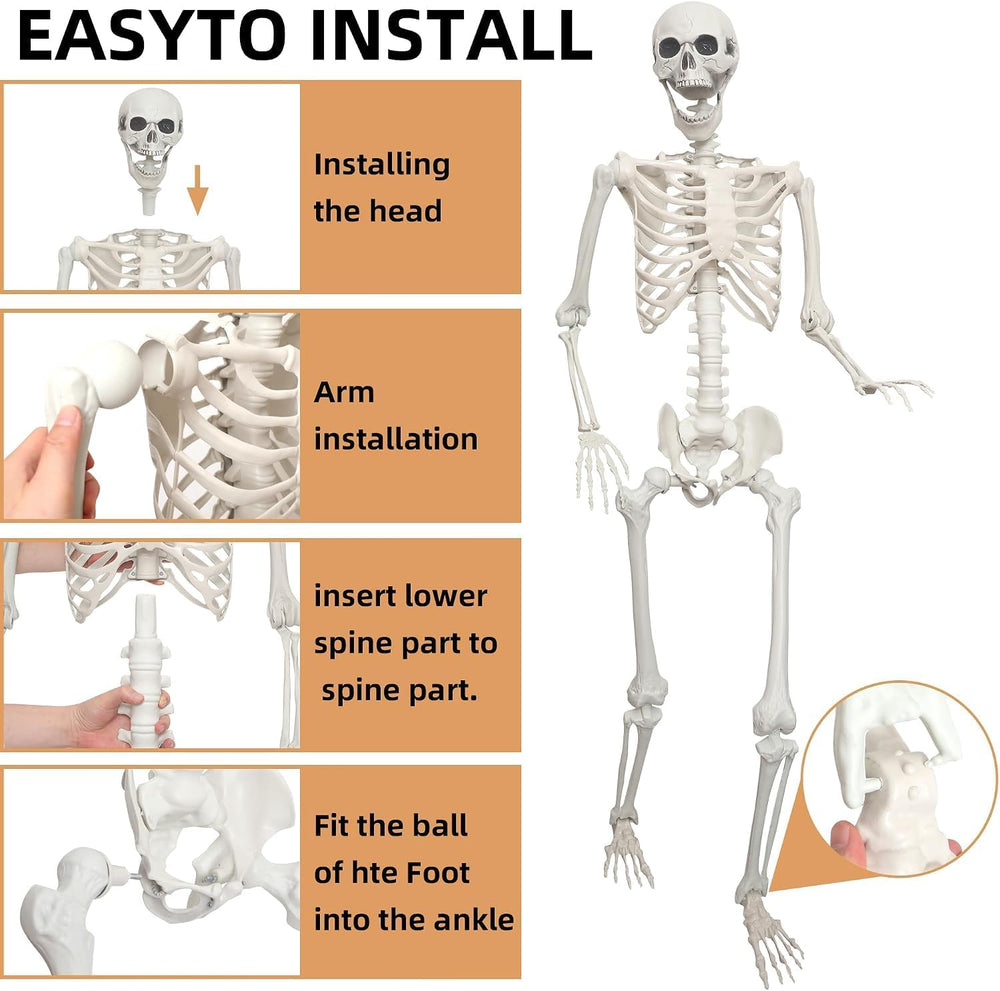 Lodou 5.4Ft Posable Life Size Human Skeleton for Halloween Decoration