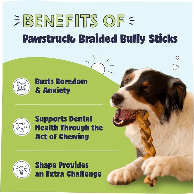 Pawstruck Natural 9” Braided Bully Sticks (10 Count)