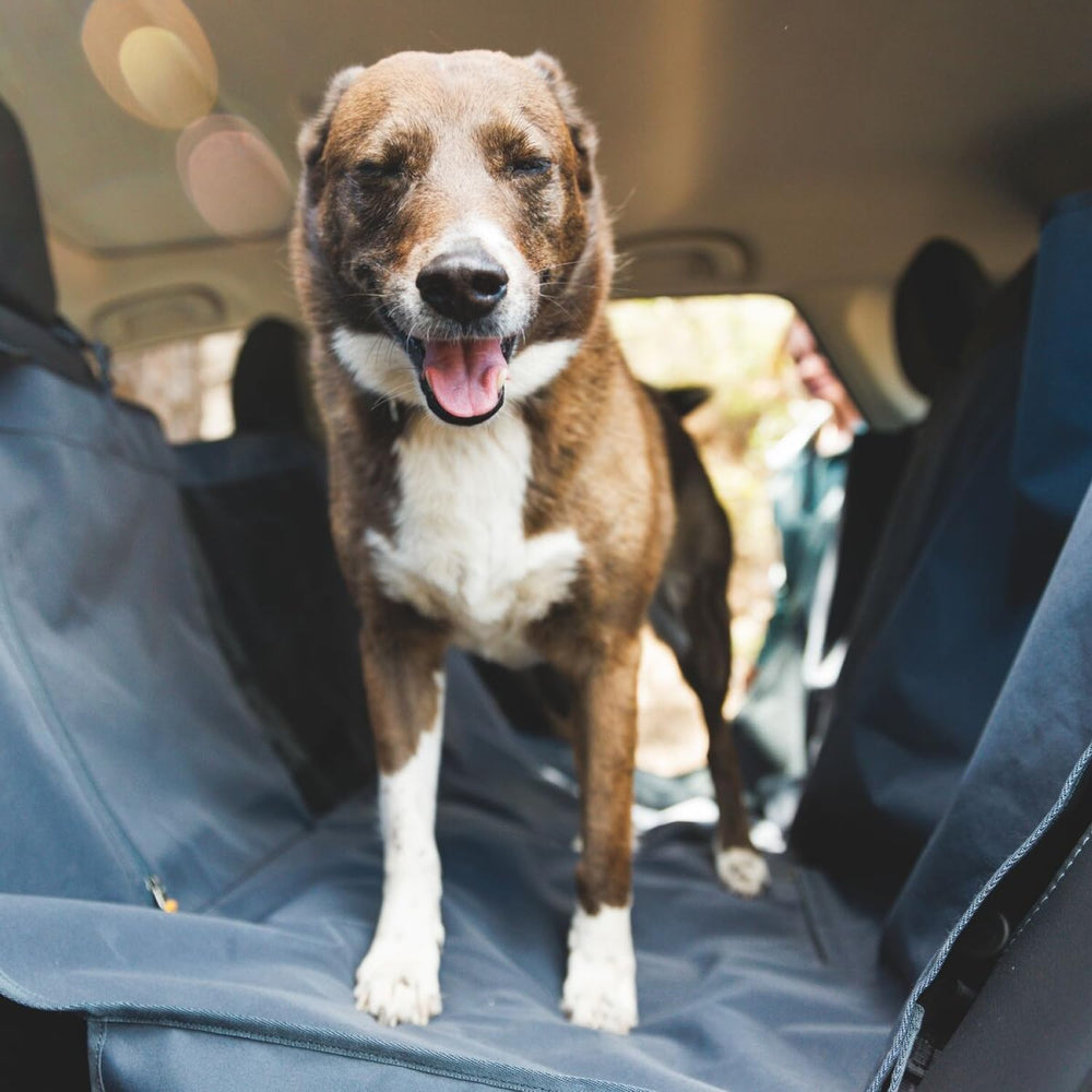 Ruffwear, Dirtbag Dog Car Seat Cover, Waterproof, Basalt Gray