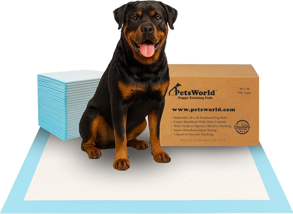 Pee Pads for Dogs 30x36 Fresh Scented | Dog Training Pads 50 Count