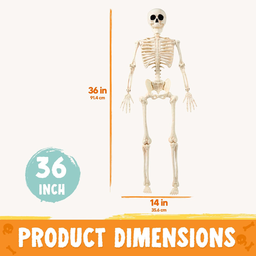 JOYIN 2PCS 36" Halloween Realistic Skeleton Decor, 3FT Full Body Stayabl...