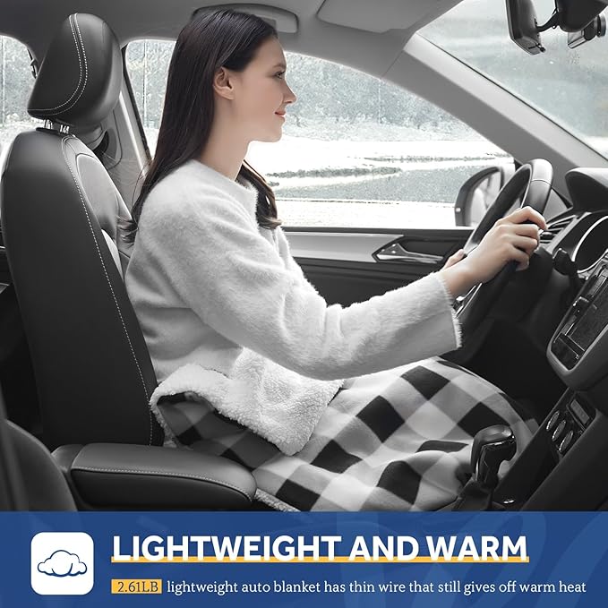 Sealy 12-Volt Heated Car Blanket