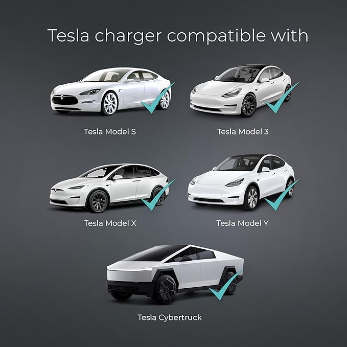 Lectron Level 1 Tesla EV Charger - 120V