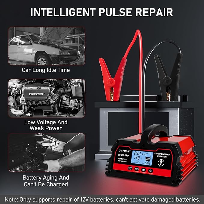 LVYUAN 25Amp Smart Car Battery Charger, 12V/24V Automotive Charger, Lead-Acid