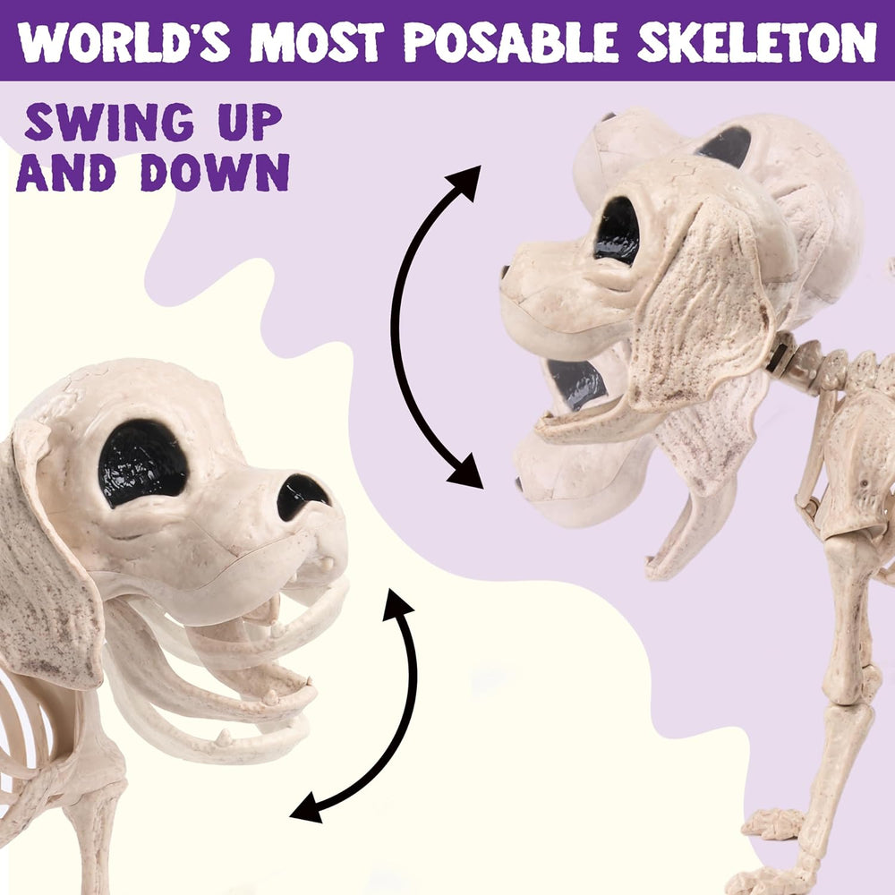 JOYIN Posable Halloween Dog Skeleton Full Body Posable Joints Realistic Skele...