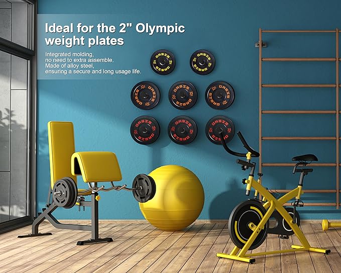 Weight Plate Holder, Wall Mounted Weight Rack Storage