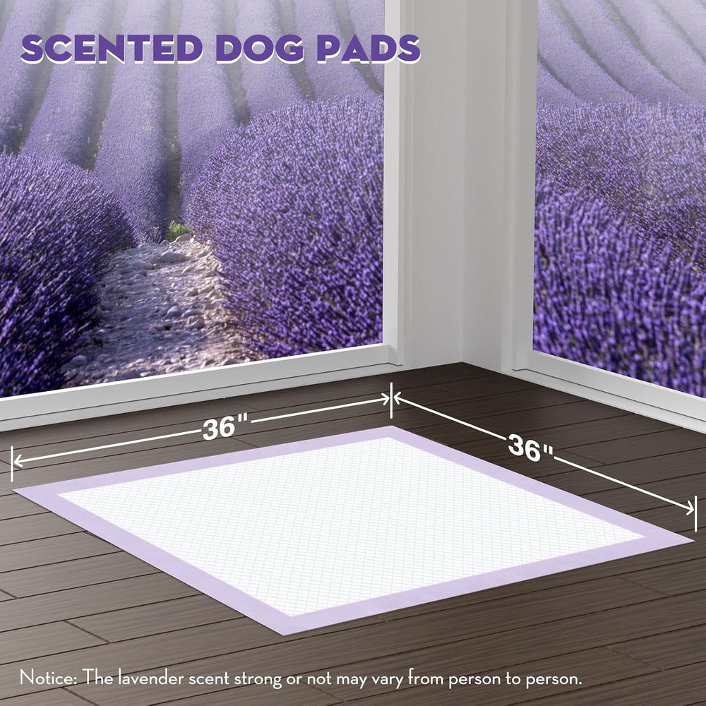CROCI Puppy Pads with Adhesive Tabs Leak Proof Lavender Scent 36x36in 100Ct
