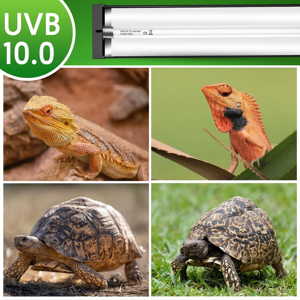 QZQ T5 10.0 UVB Reptile Light Fixture Combo Kit 24W
