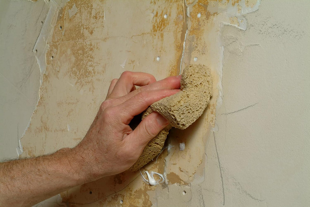 Plaster Magic® Homeowners Pack