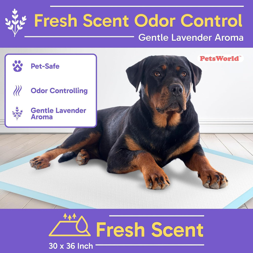 Pee Pads for Dogs 30x36 Fresh Scented | Dog Training Pads 50 Count
