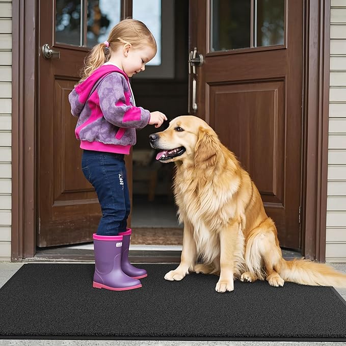 Sturdy Front Door Mat, Fade Resistant, Waterproof Low Profile Entry Mat