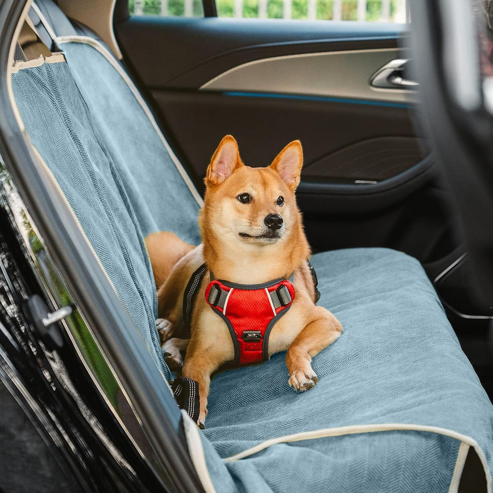FUNNY FUZZY Dog Car Seat Cover for Back Seat, Back Seat Pet Cover for Dogs Wa...