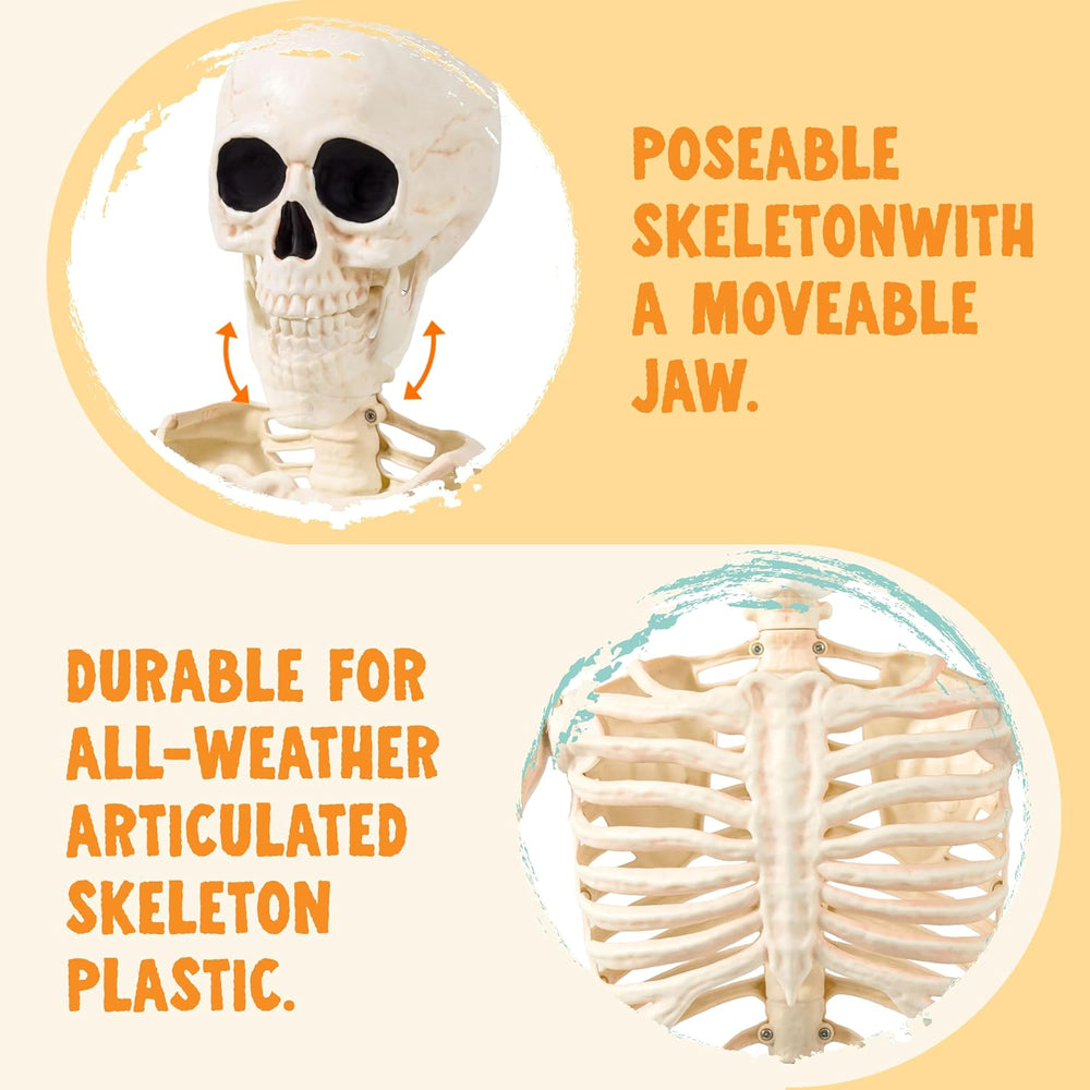 JOYIN 2PCS 36" Halloween Realistic Skeleton Decor, 3FT Full Body Stayabl...