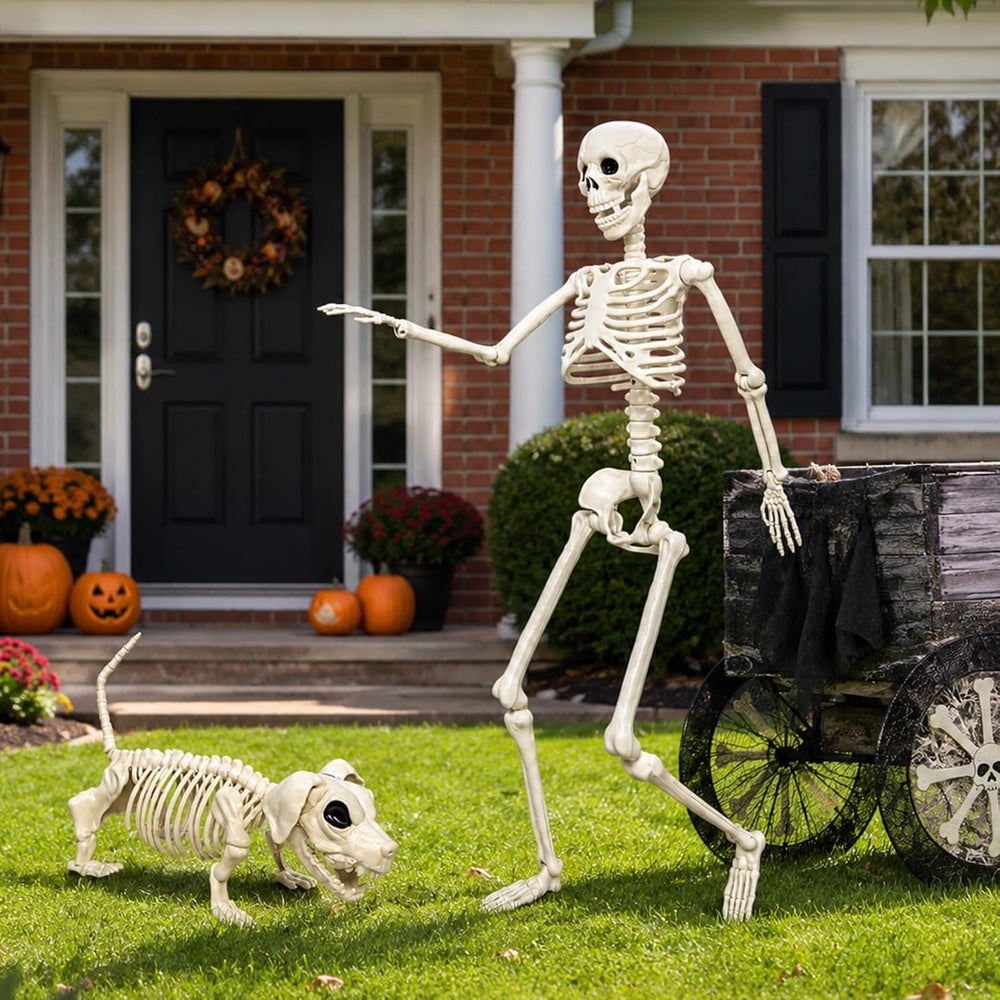 36'' Life-Size Posable Halloween Skeleton Decorations with Dog Skeleton