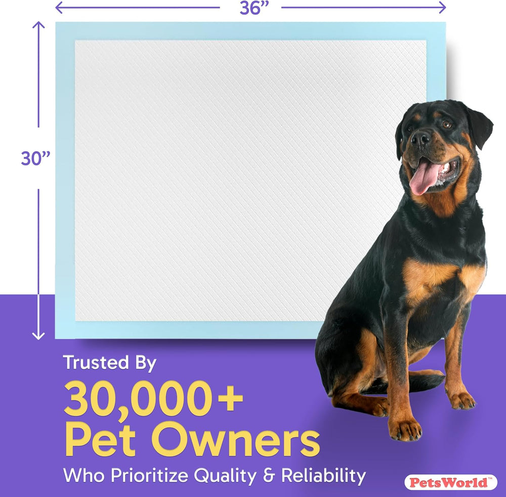 Pee Pads for Dogs 30x36 Fresh Scented | Dog Training Pads 50 Count