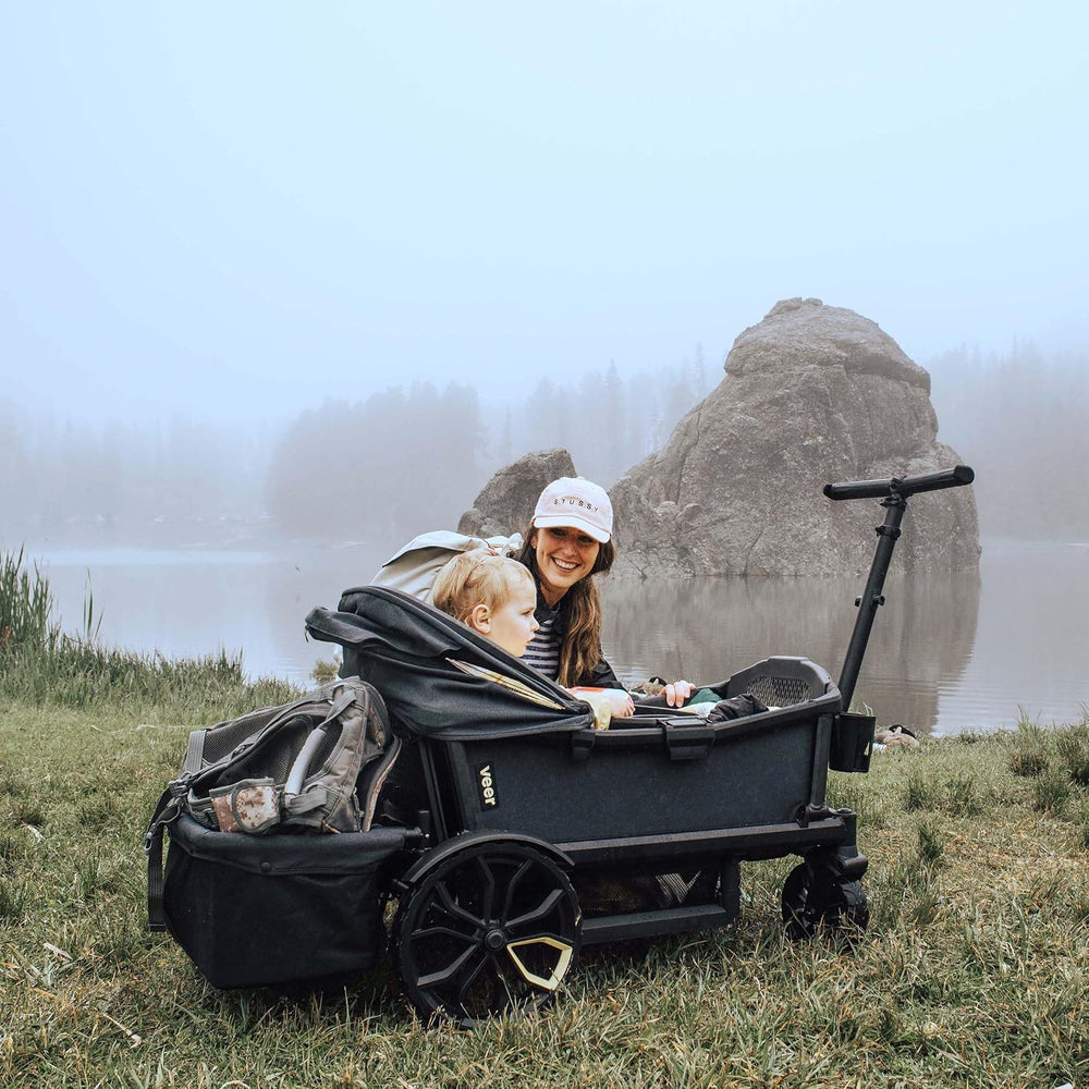 Veer Rear Foldable Storage Basket for Veer All-Terrain Cruiser XL 4 Seater. N...